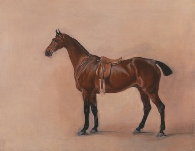Study of a Saddled Bay Hunter by John E. Ferneley